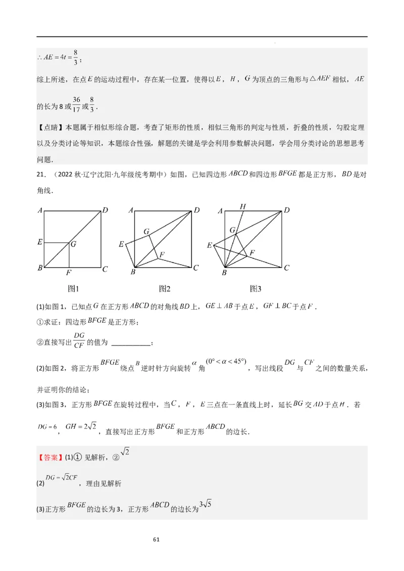 特训07期中解答压轴题（第1-5章，期中试题精选）（解析版）_北师大初中数学_9上-北师大版初中数学_05习题试卷_5专项练习