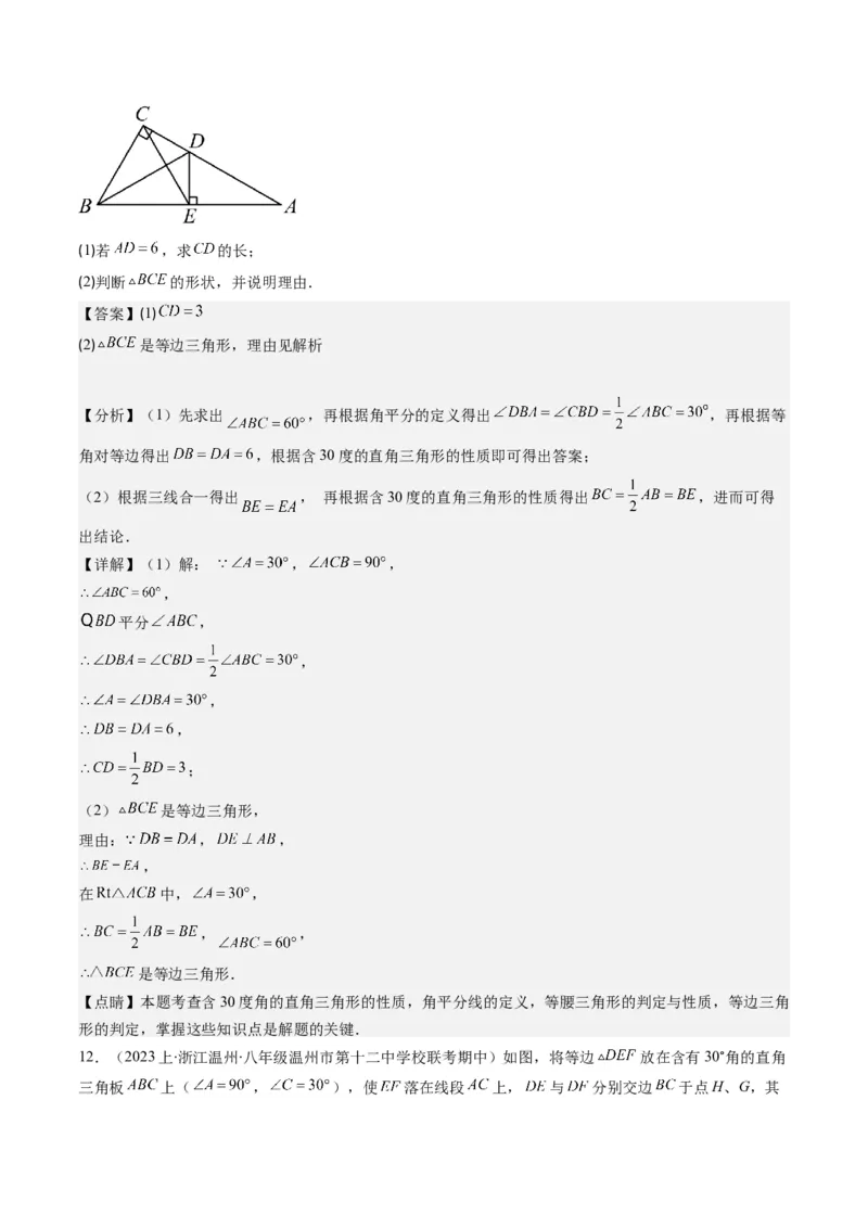 第一章第02讲等边三角形的性质与判定(4类热点题型讲练)（解析版）_北师大初中数学_8下-北师大版初中数学_旧版-可参考_05习题试卷