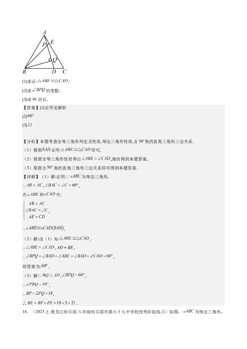 第一章第02讲等边三角形的性质与判定(4类热点题型讲练)（解析版）_北师大初中数学_8下-北师大版初中数学_旧版-可参考_05习题试卷