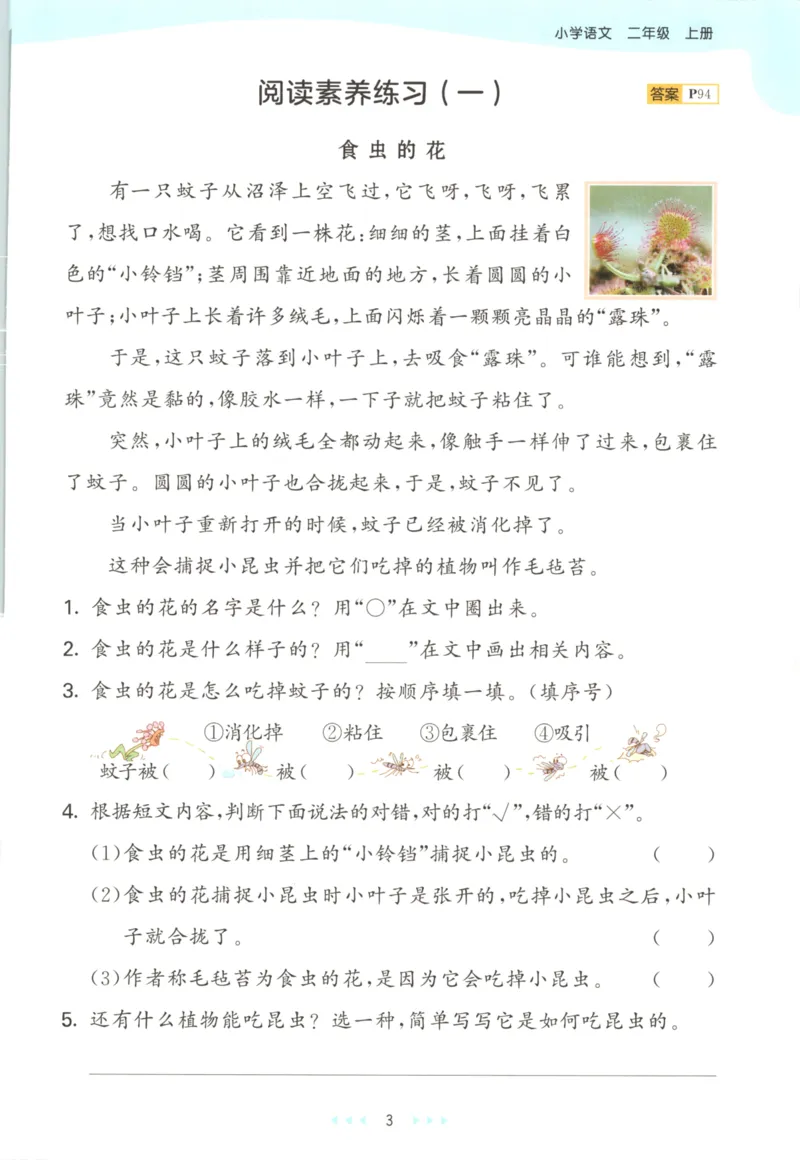 2025秋53天天练+课堂笔记+测评卷语文2上_25秋53天天练语数1-6年级上册_53天天练语文25年上册1-6（主书+课堂笔记+测评卷）完整版