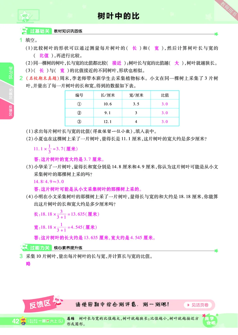 2025秋一遍过数学SJ6上教师用书（答案版）_25秋小学语数英1-6年级上册《一遍过》合集_25秋苏教版数学《一遍过》1-6年级上_六年级