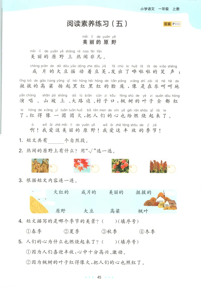 2025秋53天天练+课堂笔记+测评卷语文1上_25秋53天天练语数1-6年级上册_53天天练语文25年上册1-6（主书+课堂笔记+测评卷）完整版