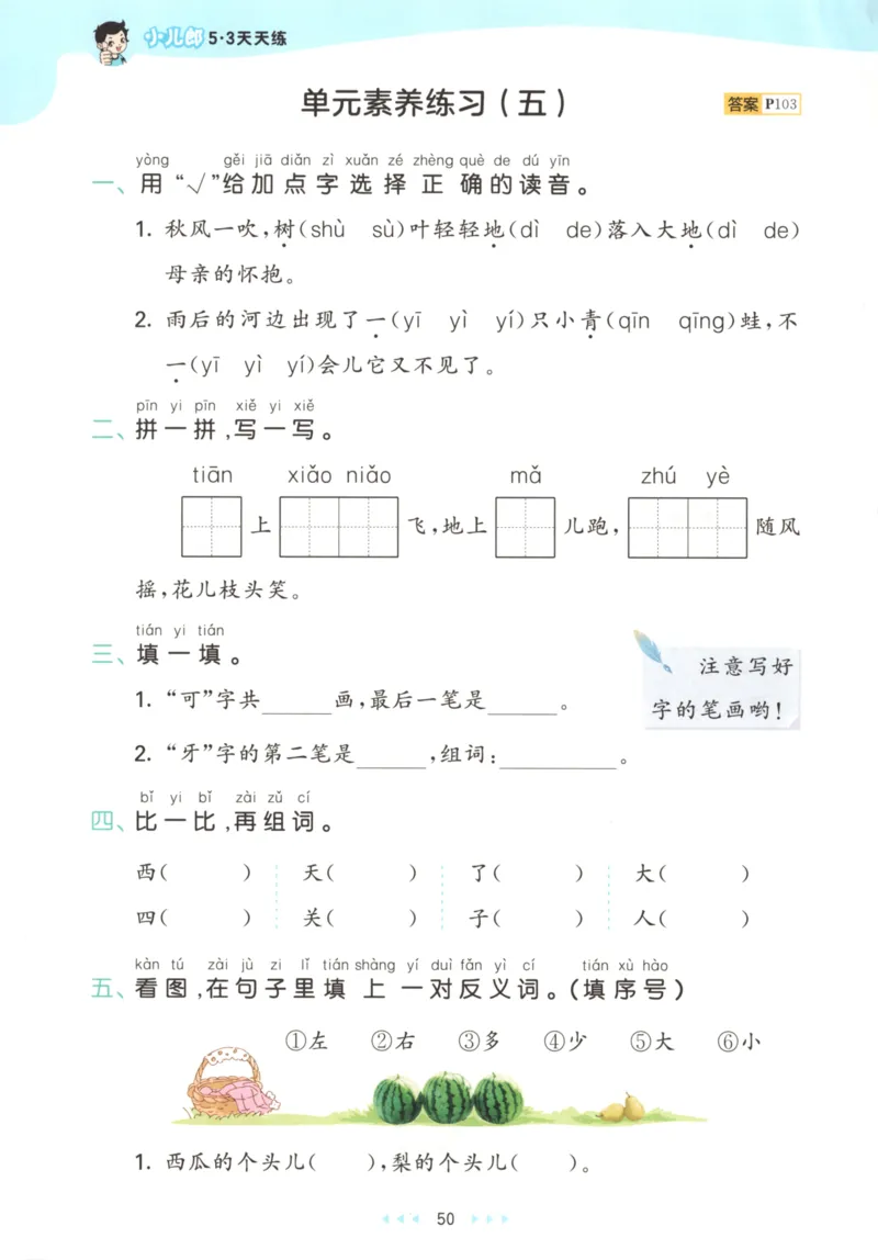 2025秋53天天练+课堂笔记+测评卷语文1上_25秋53天天练语数1-6年级上册_53天天练语文25年上册1-6（主书+课堂笔记+测评卷）完整版