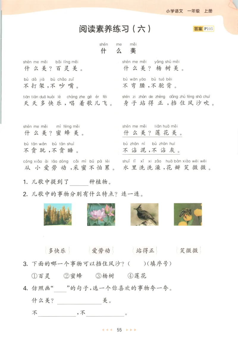 2025秋53天天练+课堂笔记+测评卷语文1上_25秋53天天练语数1-6年级上册_53天天练语文25年上册1-6（主书+课堂笔记+测评卷）完整版