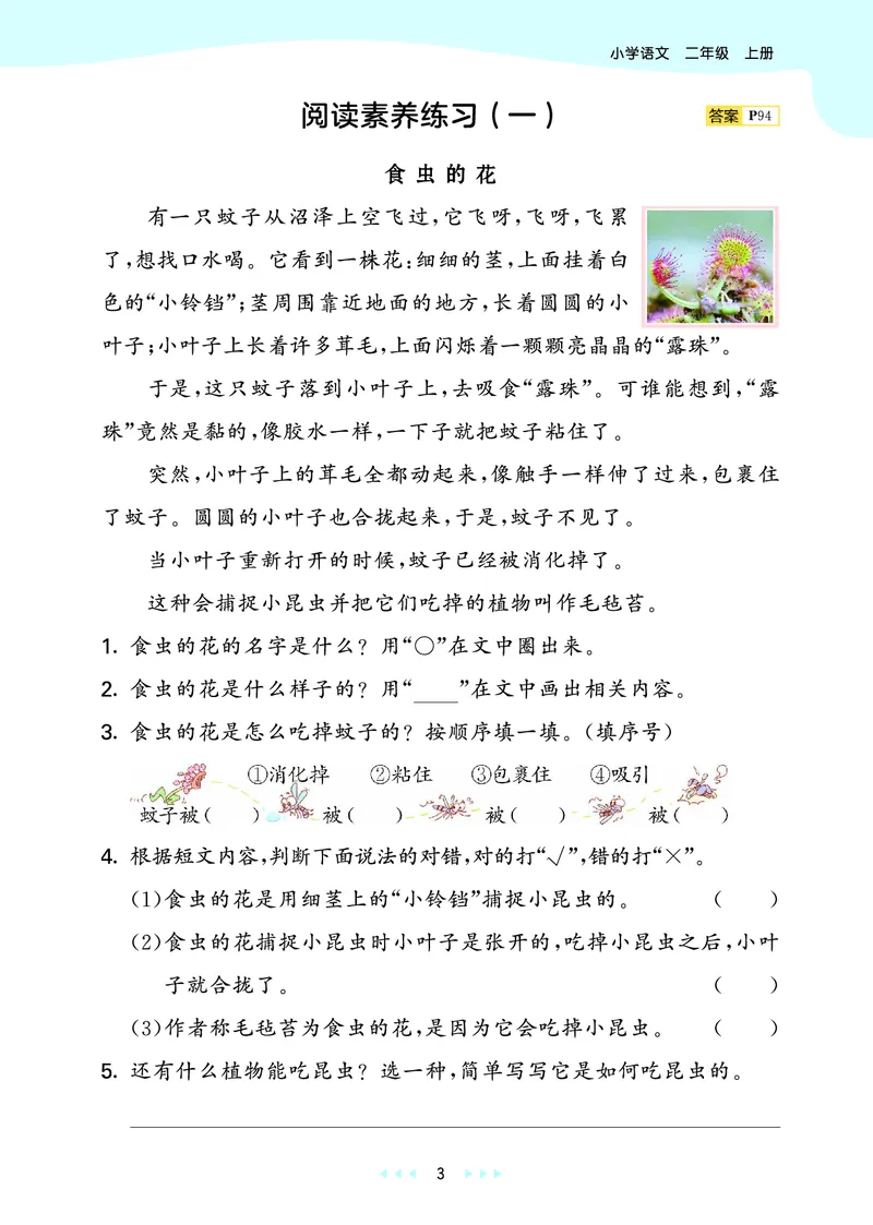 25秋53天天练二上人教语文_1753432888136_25秋53天天练语数1-6年级上册_25秋53天天练1-6上人教语文