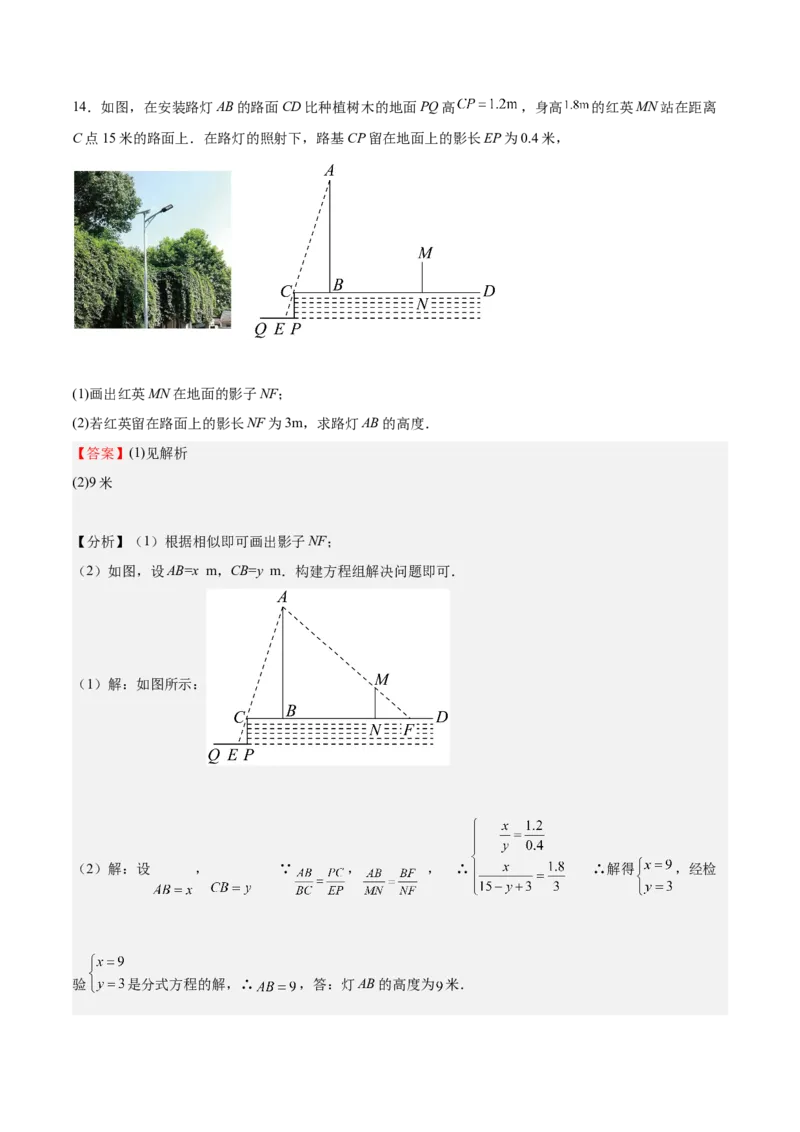 第31课投影（解析版）_北师大初中数学_9上-北师大版初中数学_05习题试卷_1课时练习_同步练习（第2套）_第31课投影-2022-2023学年九年级数学上册课后培优分级练（北师大版）