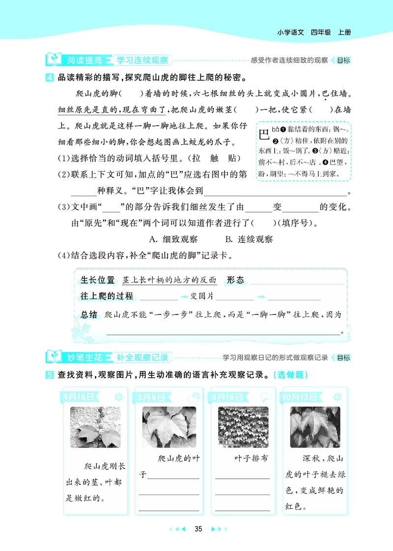 25秋53天天练四上人教语文_1753423097336_25秋53天天练语数1-6年级上册_25秋53天天练1-6上人教语文
