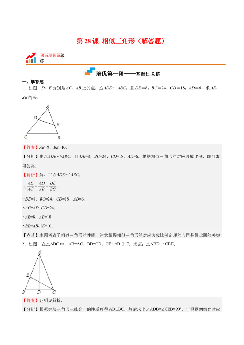 第28课相似三角形（解答题）（解析版）_北师大初中数学_9上-北师大版初中数学_05习题试卷_1课时练习_同步练习（第2套）