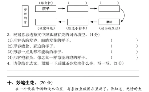 2024年秋三年级上册期中名校密卷(1)_小学1-6年级常用的上册资源汇总_三年级上册资料(1)