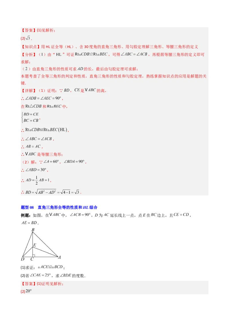 第一章第03讲直角三角形（3个知识点+8类热点题型讲练+习题巩固）（解析版）_北师大初中数学_8下-北师大版初中数学_旧版-可参考_05习题试卷