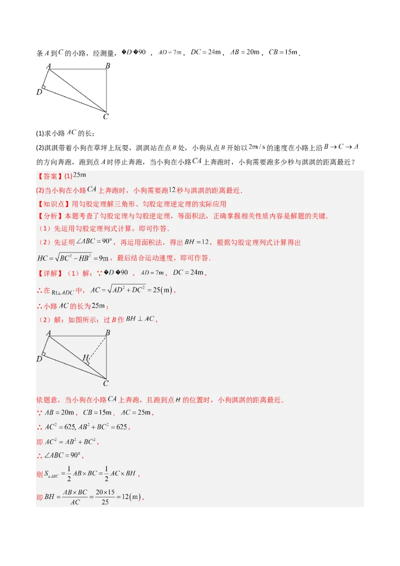 第一章第03讲直角三角形（3个知识点+8类热点题型讲练+习题巩固）（解析版）_北师大初中数学_8下-北师大版初中数学_旧版-可参考_05习题试卷
