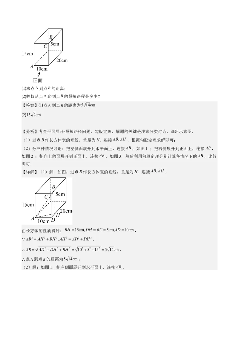 第04讲解题技巧专题：利用勾股定理求最短路径问题(4类热点题型讲练)（解析版）_北师大初中数学_8上-北师大版初中数学_旧版_05习题试卷