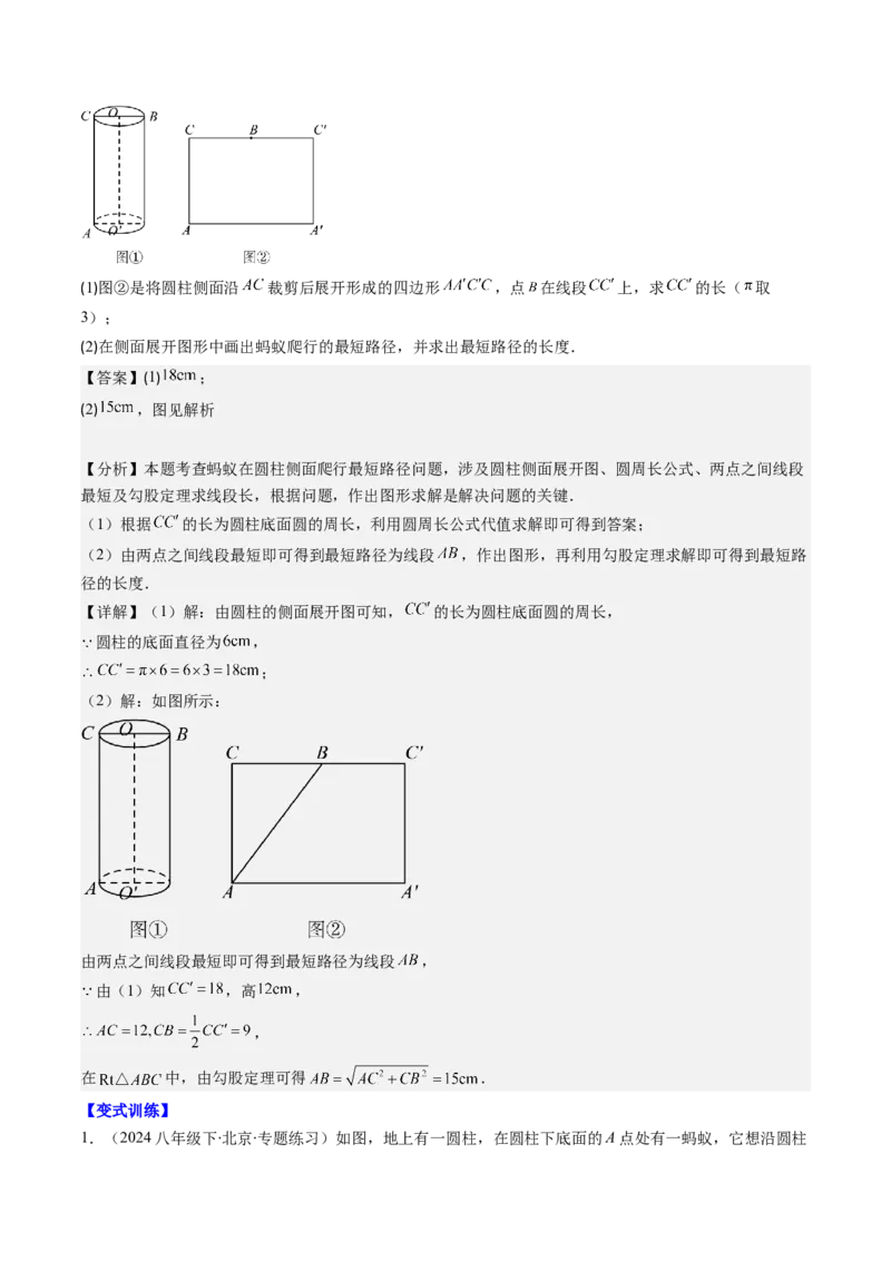 第04讲解题技巧专题：利用勾股定理求最短路径问题(4类热点题型讲练)（解析版）_北师大初中数学_8上-北师大版初中数学_旧版_05习题试卷