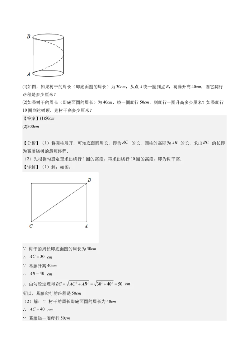第04讲解题技巧专题：利用勾股定理求最短路径问题(4类热点题型讲练)（解析版）_北师大初中数学_8上-北师大版初中数学_旧版_05习题试卷
