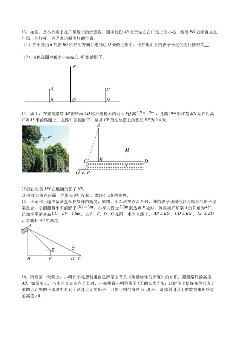 第31课投影（原卷版）_北师大初中数学_9上-北师大版初中数学_05习题试卷_1课时练习_同步练习（第2套）_第31课投影-2022-2023学年九年级数学上册课后培优分级练（北师大版）