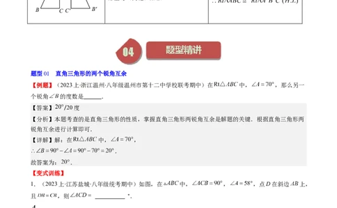 第一章第03讲直角三角形(7类热点题型讲练)（解析版）_北师大初中数学_8下-北师大版初中数学_旧版-可参考_05习题试卷_帮课堂2023-2024学年八年级数学下册同步学与练（北师大版）
