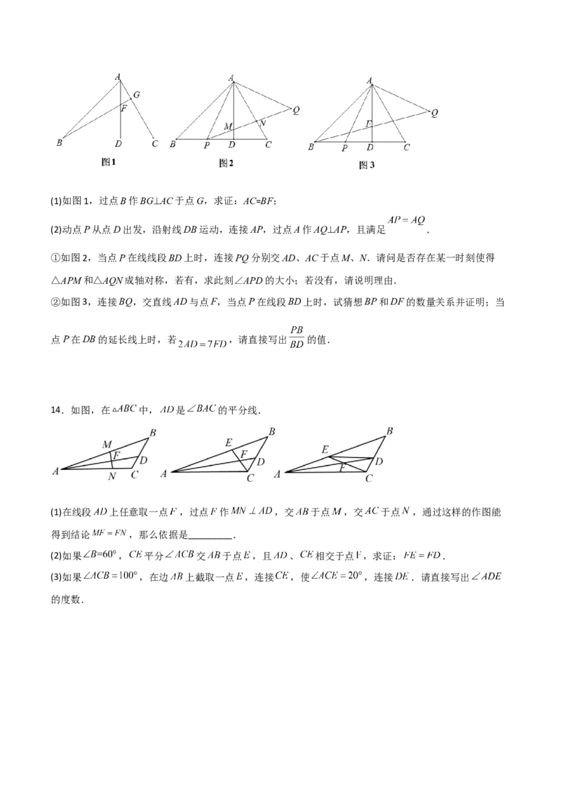 第一章三角形的证明B卷压轴题考点训练（原卷版）_北师大初中数学_8下-北师大版初中数学_旧版-可参考_06专项讲练