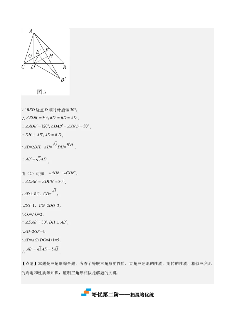 第30课相似三角形（动态几何，坐标问题）（解析版）_北师大初中数学_9上-北师大版初中数学_05习题试卷_1课时练习_同步练习（第2套）