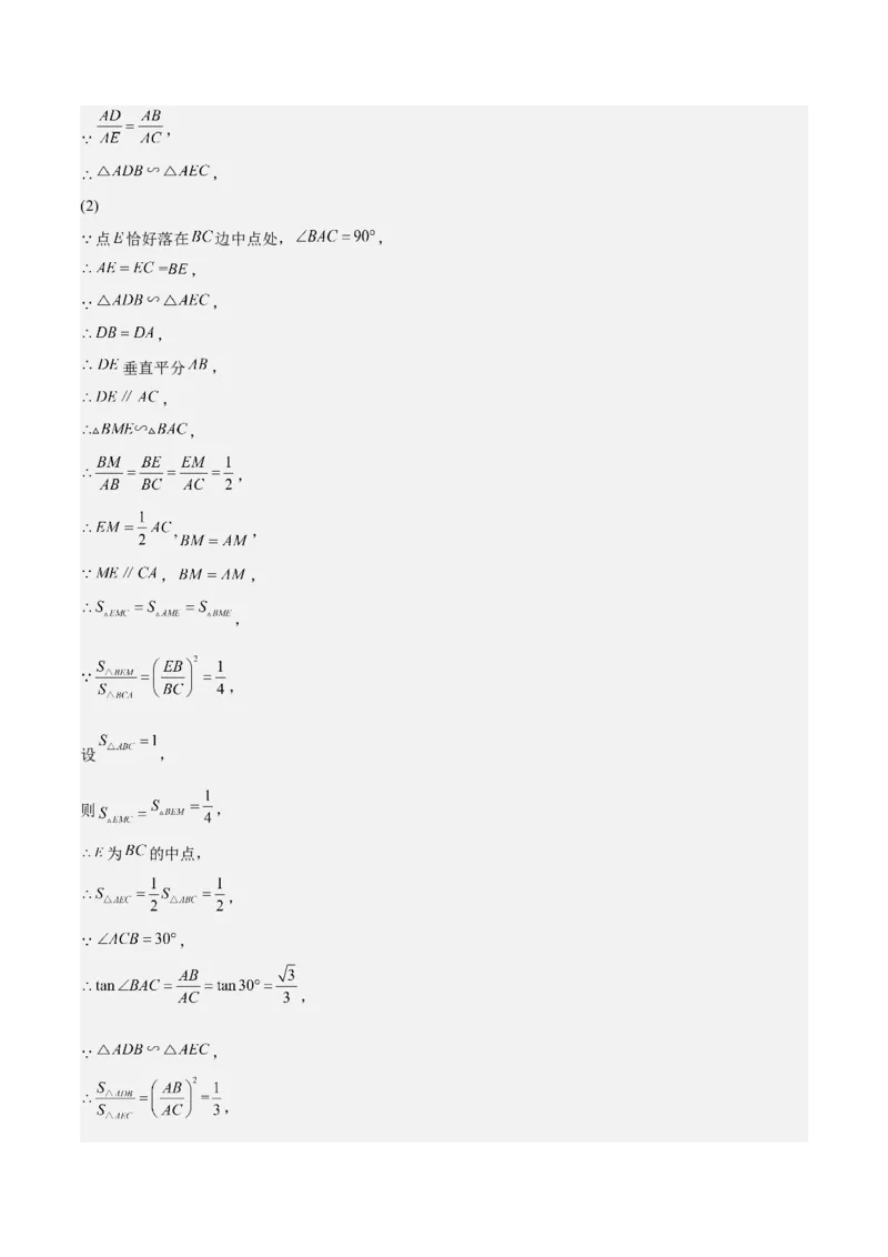 第30课相似三角形（动态几何，坐标问题）（解析版）_北师大初中数学_9上-北师大版初中数学_05习题试卷_1课时练习_同步练习（第2套）