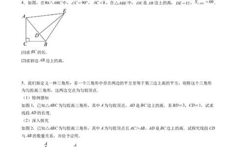 第07讲解题技巧专题：利用勾股定理解决面积问题(5类热点题型讲练)（原卷版）_北师大初中数学_8上-北师大版初中数学_旧版_05习题试卷