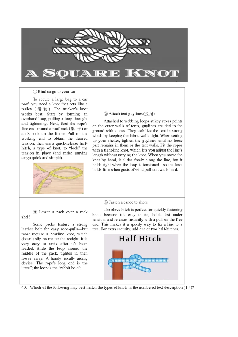 信息必刷卷01（上海专用）解析版_03高考英语_2025年新高考资料_2025考前信息卷_2025年高考英语考前信息必刷卷（上海专用）3436537