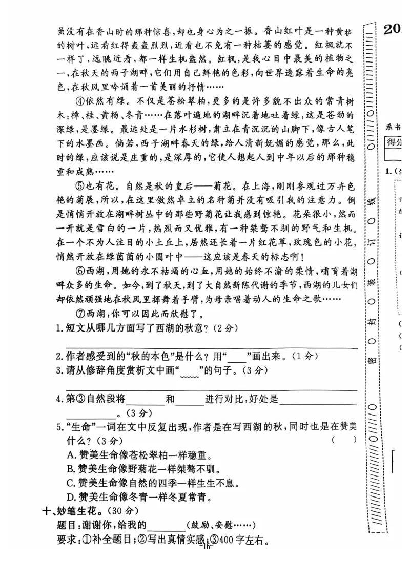 2024+秋上册六年级语文期末试卷（通用版）_小学1-6年级常用的上册资源汇总_六年级上册资料(1)