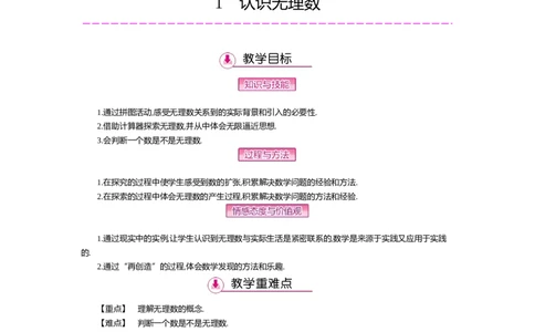 第二章实数_北师大初中数学_8上-北师大版初中数学_旧版_03教案_全册教案（第2套）