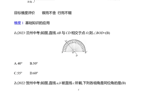 第二章　相交线与平行线　单元复习课_北师大初中数学_7下-北师大版初中数学_7下-初中数学北师大版（2025春季新版）持续更新_3导学案（齐全）