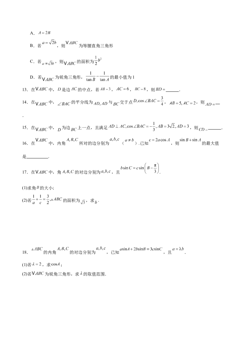 专题10正余弦定理在解三角形中的高级灵活应用与最值问题（练习）（原卷版）_2025年新高考资料_二轮复习_01高考语文等多个文件_上好课2025年高考数学二轮复习讲练测（新高考通用）