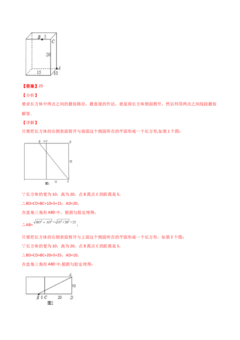 第01讲勾股定理-专题突破2021-2022学年八年级数学上册重难点专题突破+阶段检测卷(北师大版)(解析版)_北师大初中数学_8上-北师大版初中数学_旧版_06专项讲练