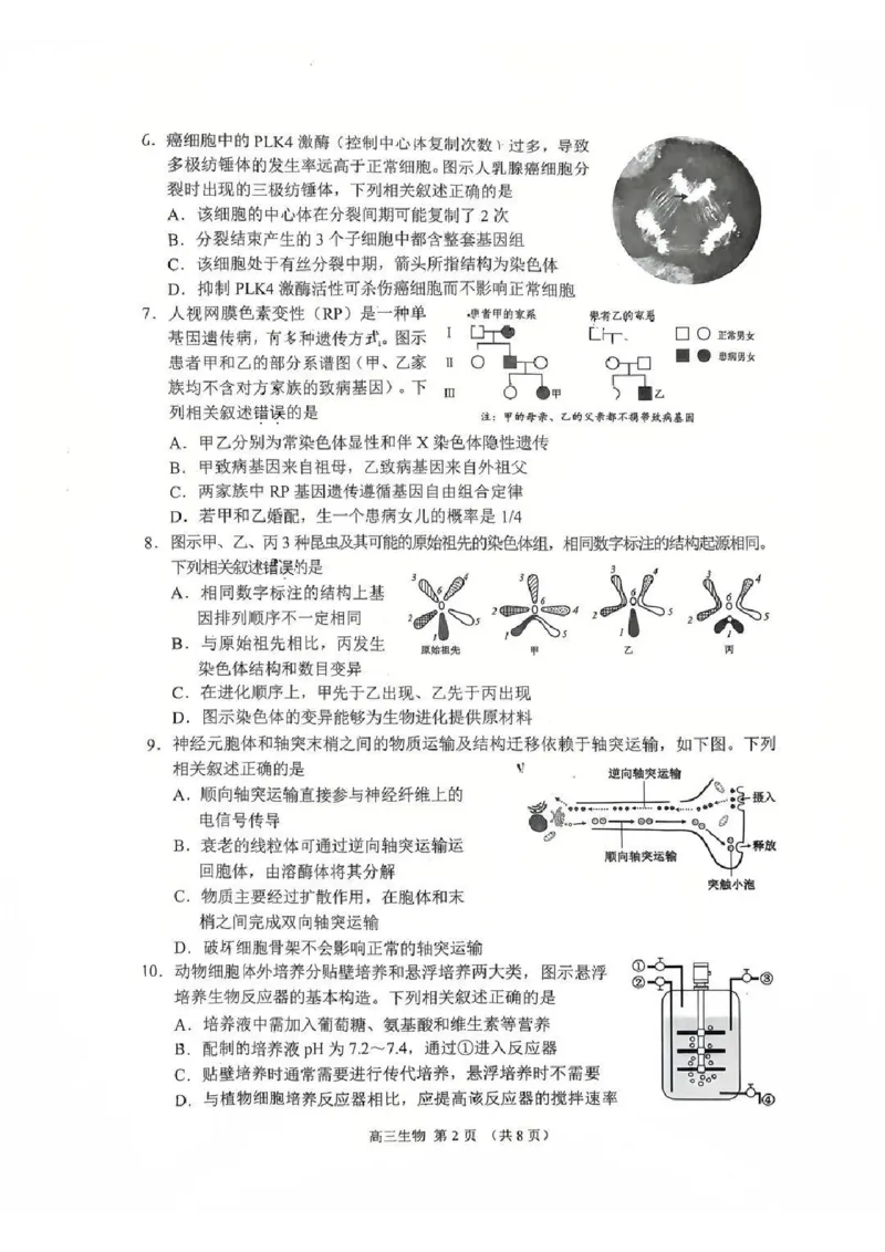 江苏省苏州市2025-2026学年高三上学期期末考试生物试卷（含答案）_全国高考模拟卷_2026年2月_260206江苏省苏州市2025-2026学年高三上学期期末考试（苏州零模）（全科）