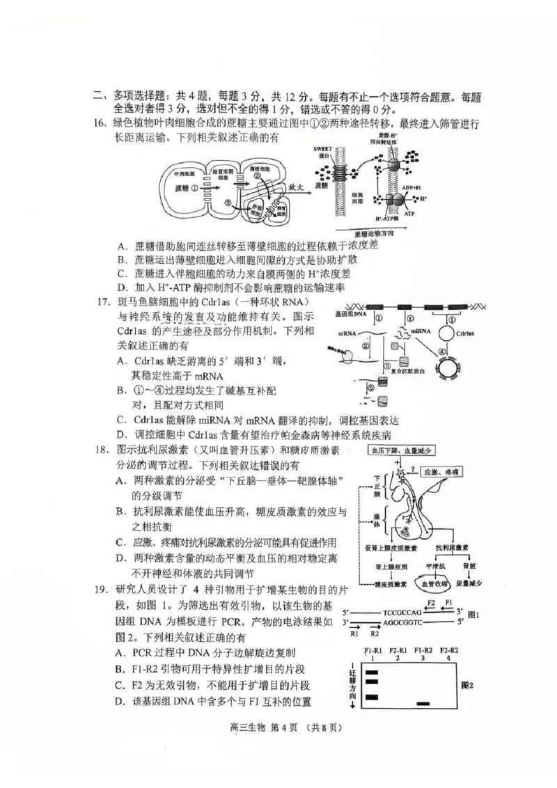 江苏省苏州市2025-2026学年高三上学期期末考试生物试卷（含答案）_全国高考模拟卷_2026年2月_260206江苏省苏州市2025-2026学年高三上学期期末考试（苏州零模）（全科）