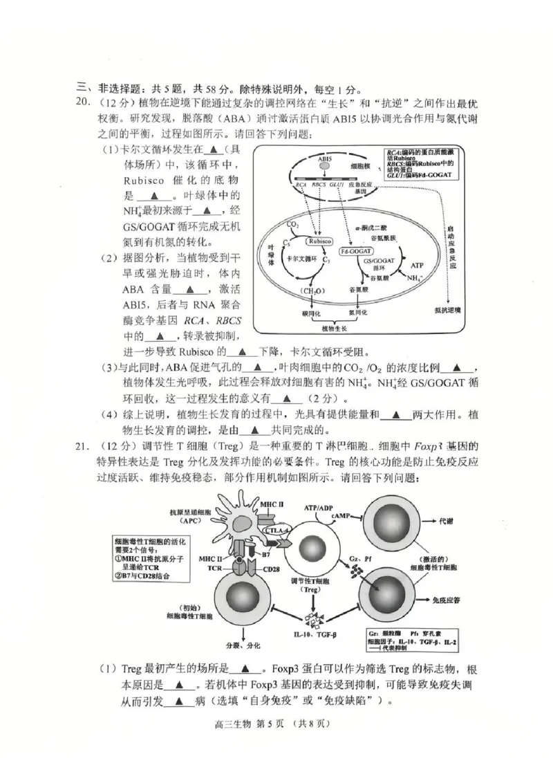 江苏省苏州市2025-2026学年高三上学期期末考试生物试卷（含答案）_全国高考模拟卷_2026年2月_260206江苏省苏州市2025-2026学年高三上学期期末考试（苏州零模）（全科）