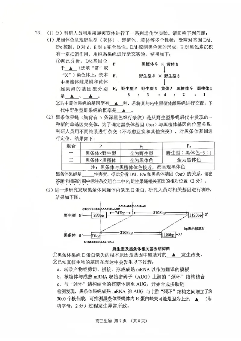 江苏省苏州市2025-2026学年高三上学期期末考试生物试卷（含答案）_全国高考模拟卷_2026年2月_260206江苏省苏州市2025-2026学年高三上学期期末考试（苏州零模）（全科）