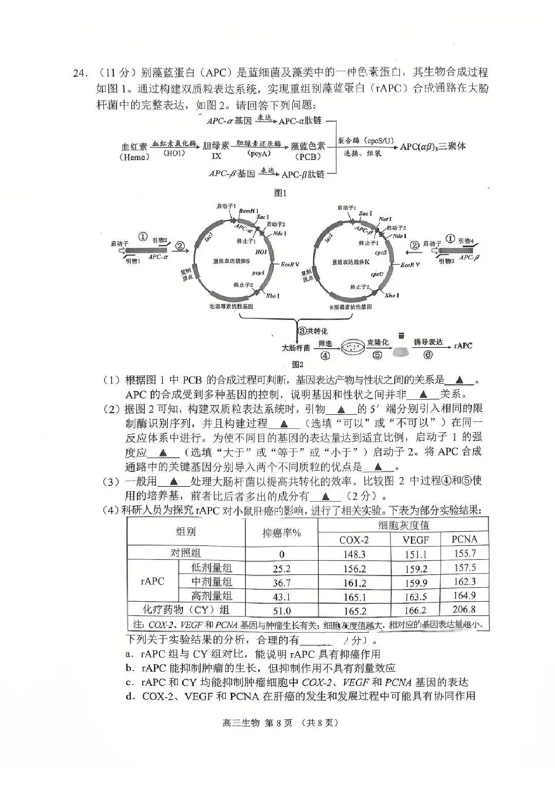 江苏省苏州市2025-2026学年高三上学期期末考试生物试卷（含答案）_全国高考模拟卷_2026年2月_260206江苏省苏州市2025-2026学年高三上学期期末考试（苏州零模）（全科）