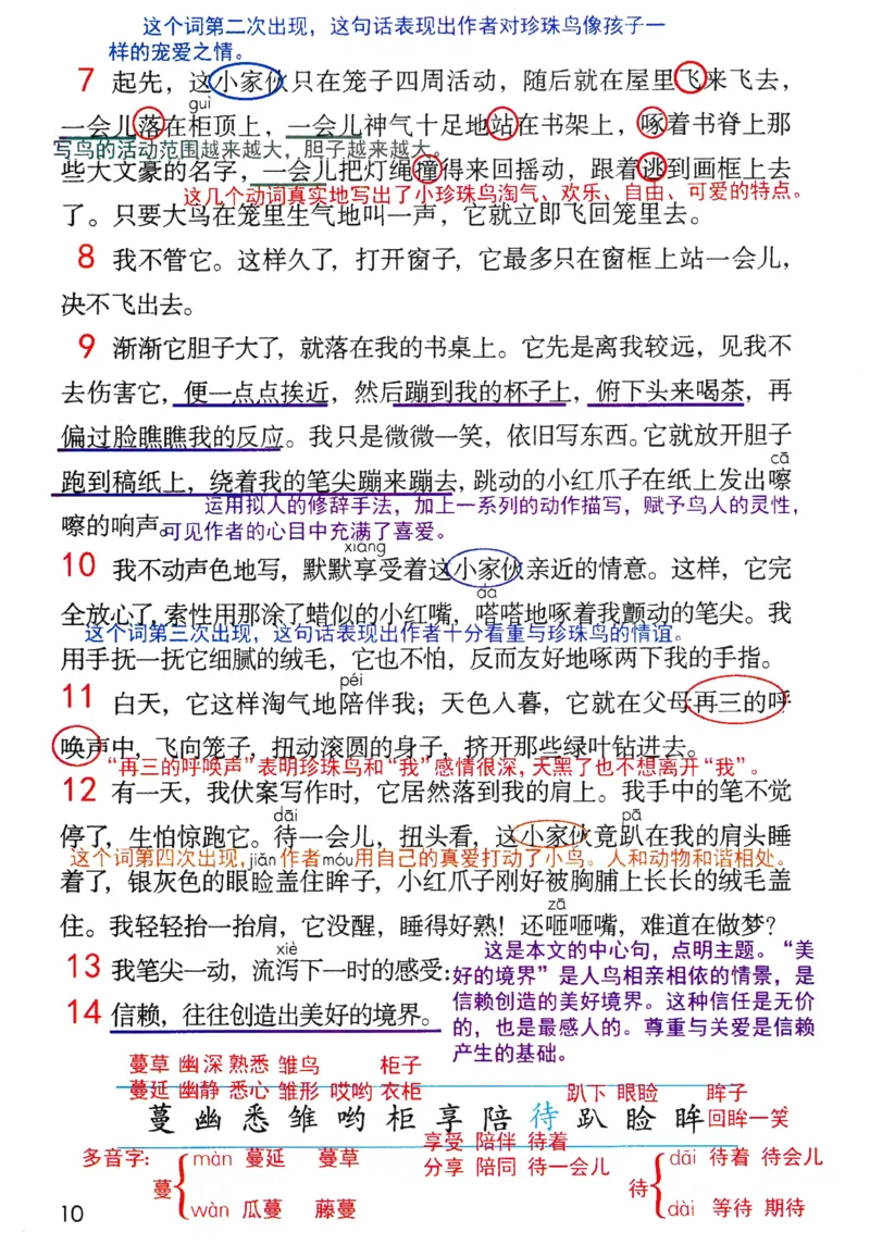 5年级上册_25秋1-6年级语文《课堂笔记》_1-6上册
