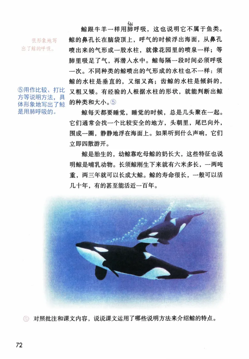 5年级上册_25秋1-6年级语文《课堂笔记》_1-6上册