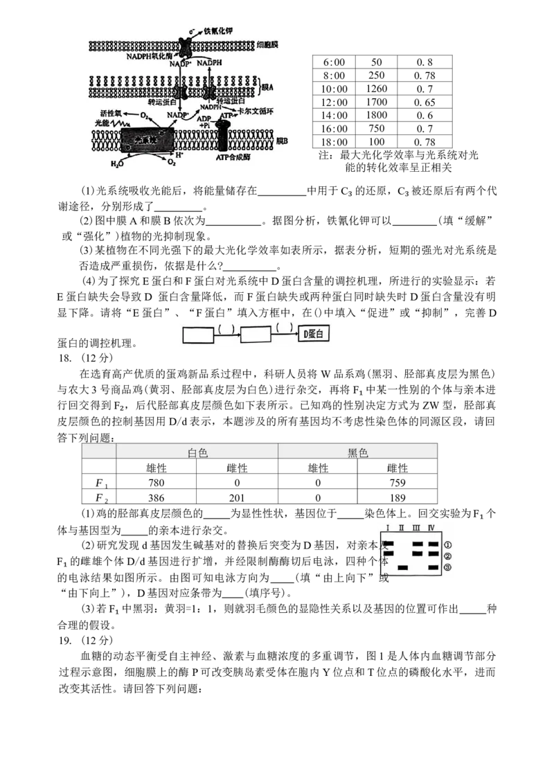 湖南省常德市2025-2026学年度上学期2月高三检测考试（一模）生物学试题（含答案）_全国高考模拟卷_2026年2月_260208湖南省常德市2025-2026学年度上学期2月高三检测考试（一模）（全科）