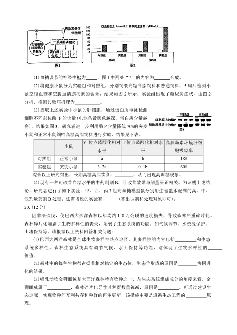 湖南省常德市2025-2026学年度上学期2月高三检测考试（一模）生物学试题（含答案）_全国高考模拟卷_2026年2月_260208湖南省常德市2025-2026学年度上学期2月高三检测考试（一模）（全科）