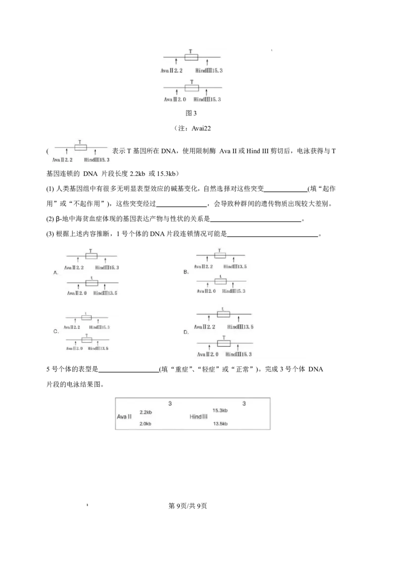 2025&mdash;2026学年度第一学期高三年级期末教学质量检测生物_全国高考模拟卷_2026年2月_260211内蒙古包头市2025&mdash;2026学年度第一学期高三年级期末教学质量检测试卷（全科）