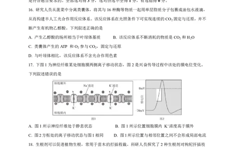 2025&mdash;2026学年度第一学期高三年级期末教学质量检测生物_全国高考模拟卷_2026年2月_260211内蒙古包头市2025&mdash;2026学年度第一学期高三年级期末教学质量检测试卷（全科）