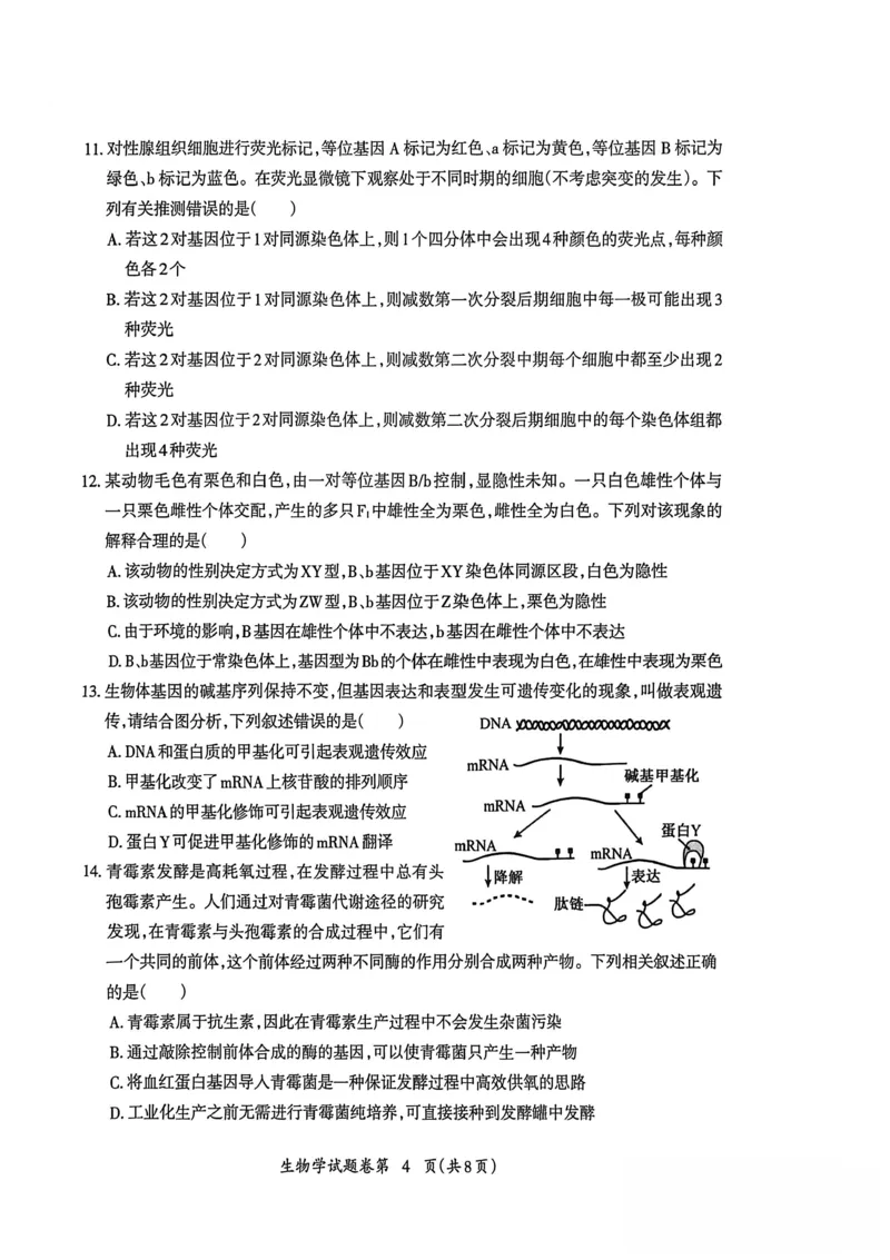 生物试题_全国高考模拟卷_2026年2月_260202安徽省芜湖市2026届高三上学期教学质量监控（一模）（全科）_安徽省芜湖市2025-2026年高三一模生物