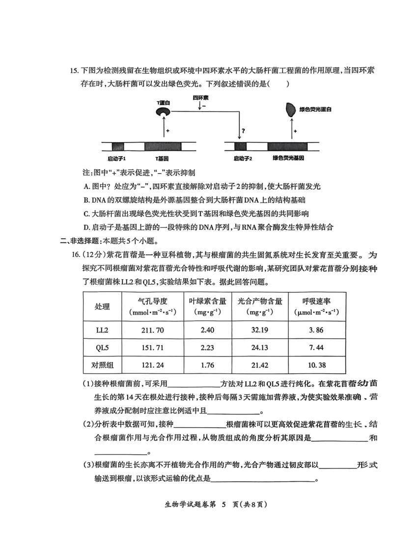 生物试题_全国高考模拟卷_2026年2月_260202安徽省芜湖市2026届高三上学期教学质量监控（一模）（全科）_安徽省芜湖市2025-2026年高三一模生物