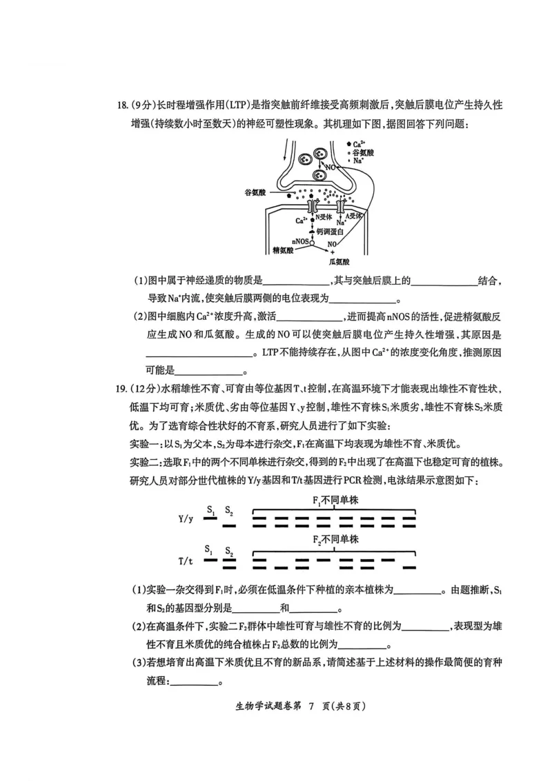 生物试题_全国高考模拟卷_2026年2月_260202安徽省芜湖市2026届高三上学期教学质量监控（一模）（全科）_安徽省芜湖市2025-2026年高三一模生物