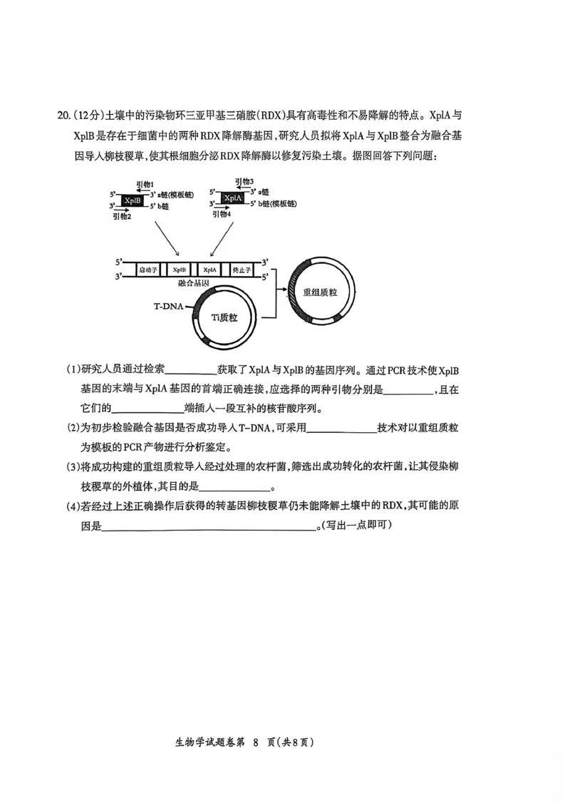 生物试题_全国高考模拟卷_2026年2月_260202安徽省芜湖市2026届高三上学期教学质量监控（一模）（全科）_安徽省芜湖市2025-2026年高三一模生物
