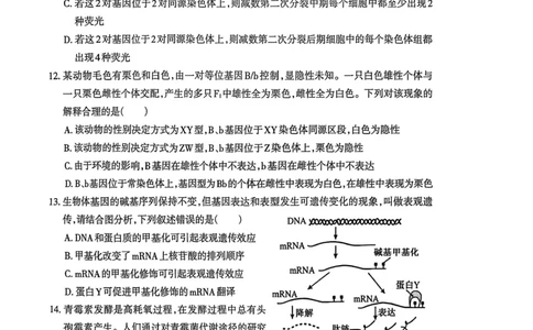 生物试题_全国高考模拟卷_2026年2月_260202安徽省芜湖市2026届高三上学期教学质量监控（一模）（全科）_安徽省芜湖市2025-2026年高三一模生物