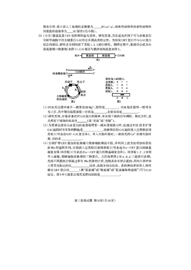 山东省泰安市高三一轮检测（泰安一模）生物试题+答案_全国高考模拟卷_2026年2月_260204山东省泰安市2026届高三一轮检测（泰安一模）（全科）