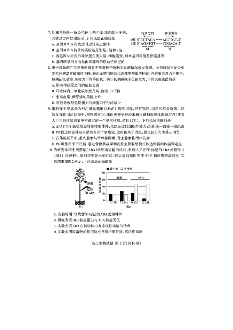 山东省泰安市高三一轮检测（泰安一模）生物试题+答案_全国高考模拟卷_2026年2月_260204山东省泰安市2026届高三一轮检测（泰安一模）（全科）