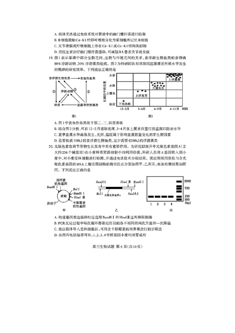 山东省泰安市高三一轮检测（泰安一模）生物试题+答案_全国高考模拟卷_2026年2月_260204山东省泰安市2026届高三一轮检测（泰安一模）（全科）