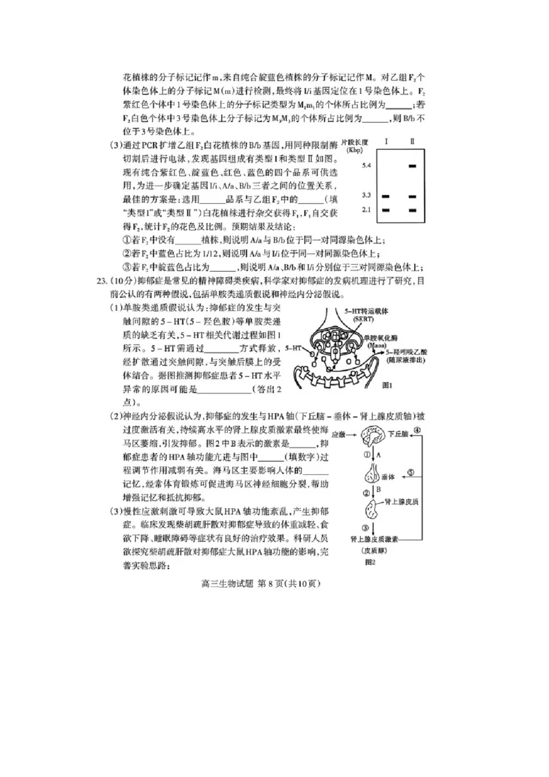 山东省泰安市高三一轮检测（泰安一模）生物试题+答案_全国高考模拟卷_2026年2月_260204山东省泰安市2026届高三一轮检测（泰安一模）（全科）